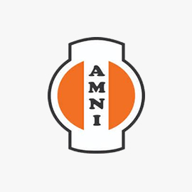 Amni International Petroleum Development Company Limited